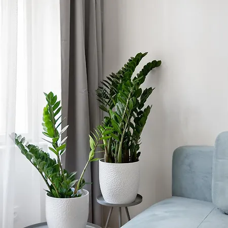 Apartment Enjoy Downtown Boutique #13 By Goodnite Cz