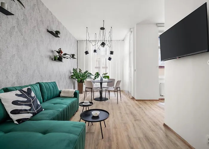 Enjoy Downtown Boutique #13 By Goodnite Cz